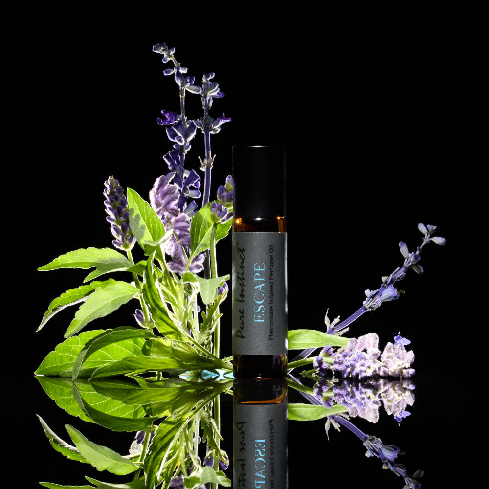 Escape Roll-On Pheromone Perfume
